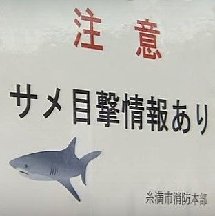 サメ　注意　沖縄