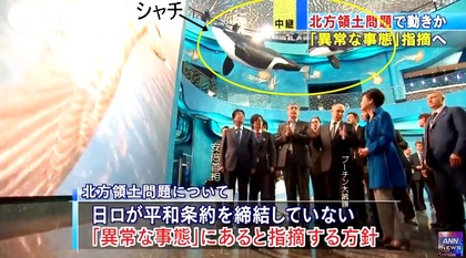 ロシア水族館　視察