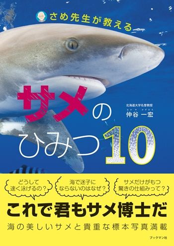 サメのひみつ１０ 表紙