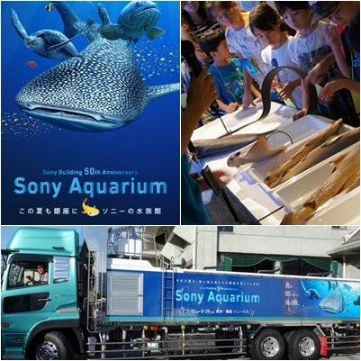 Sony Aquarium 2016