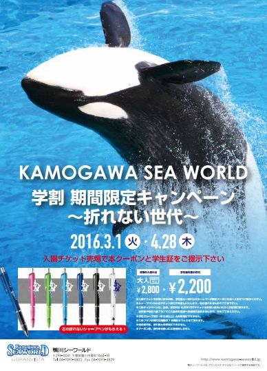 公式ホームページ限定クーポン