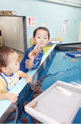 深海生物に触れよう