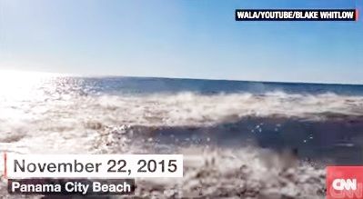 CNN Panama City Beach Shark1