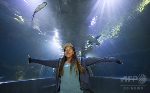 メルボルン水族館　テニス　大坂なおみ氏