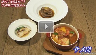 サメ肉を使った料理の試食会　東京