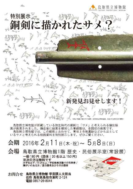 特別展示「銅剣に描かれたサメ？」