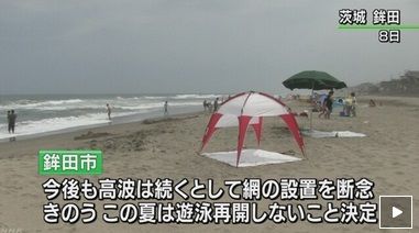 茨城　サメ
