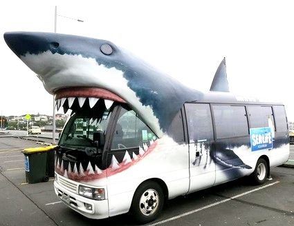 サメ　バス3