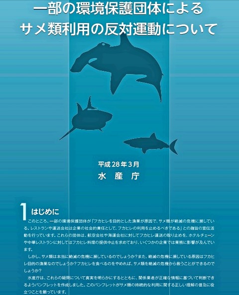 一部の環境保護団体によるサメ類利用の反対運動について①