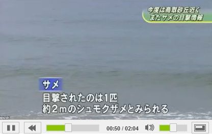 鳥取サメ