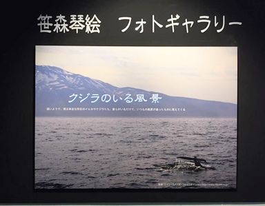 クジラのいる風景