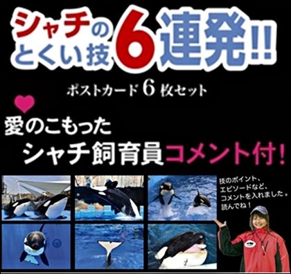 名古屋港水族館　シャチのポストカード