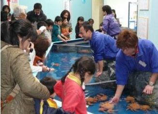 竹島水族館