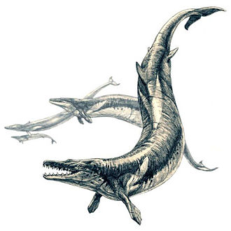 Basilosaurus