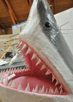 海の博物館で「サメ」展