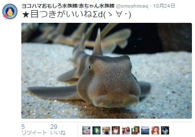 ヨコハマおもしろ水族館２