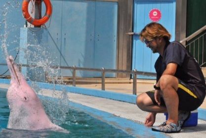 美ら海水族館　動物こばなし　獣医さんは見た