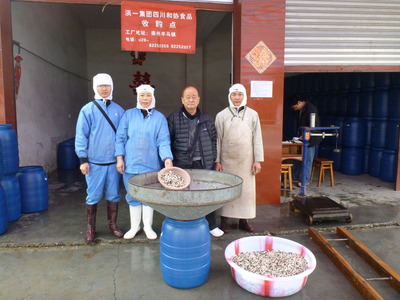 �Ҥ餿�������ϤǤ��㤤�դ�