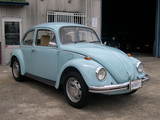 stock-74bug-main