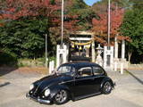 autum