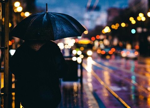 雨