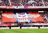 987ebbc7.jpg