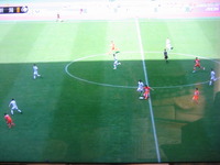 IMG_5215 (2)