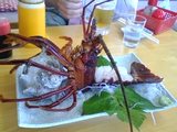 伊勢海老到着