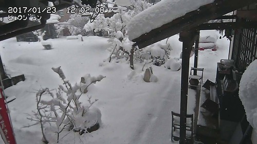 20170123豪雪
