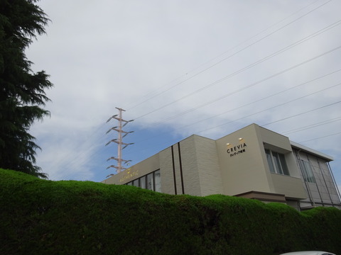 DSC01842