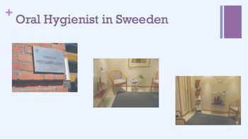 sweeden2