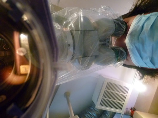 microscope-dentist1