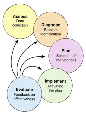the dental hygiene process of care