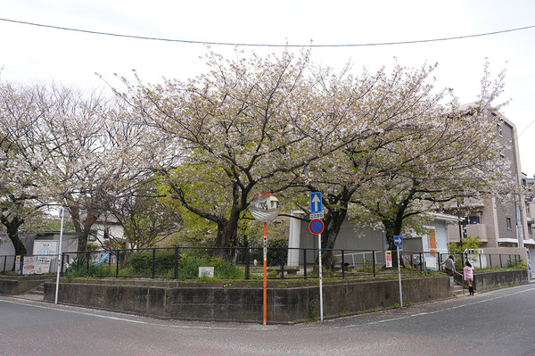 DSC03643