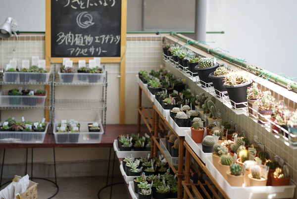 じゃらん食堂の隣DSC08247