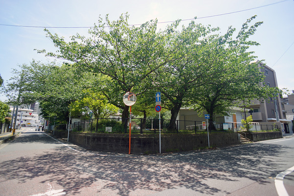 DSC09258