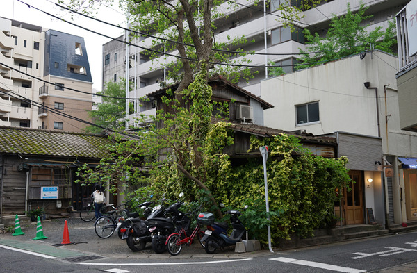 ぐぐDSC05416