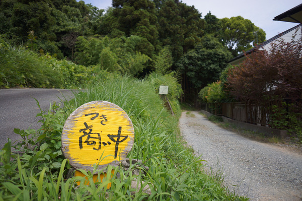 つきDSC09720