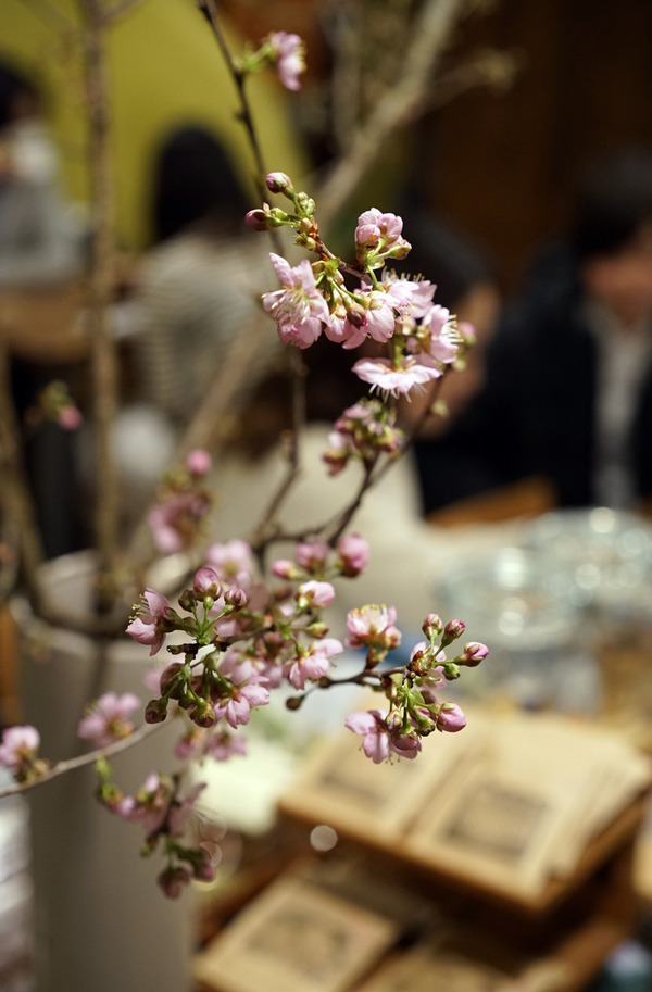 momentDSC02407