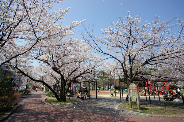 公園通りDSC09112