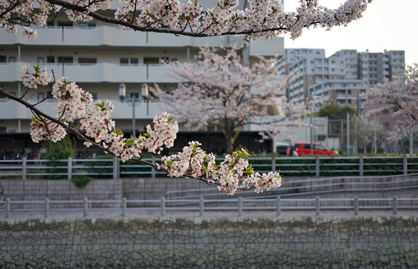 riverDSC04014