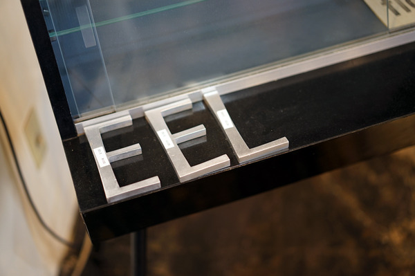 eel-DSC02324