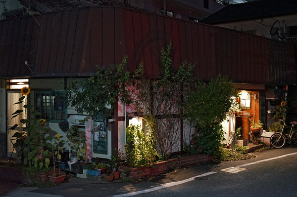 ハチミツボタンDSC03537
