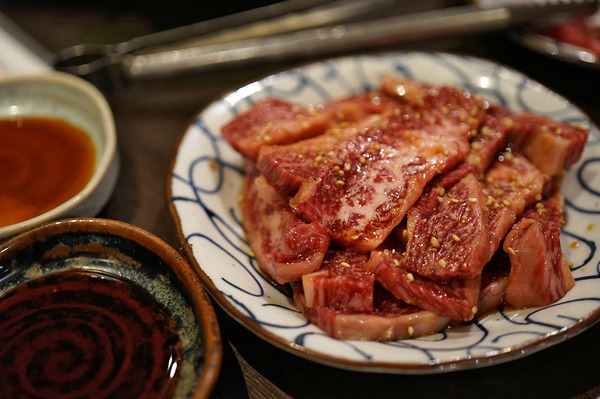 亀DSC03256