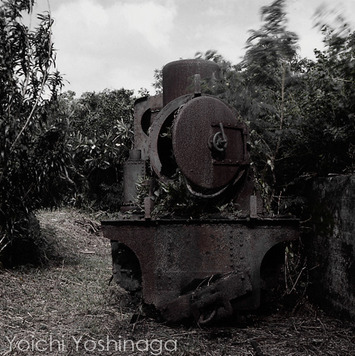 yoshinaga_004
