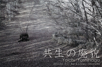 yoshinaga_001
