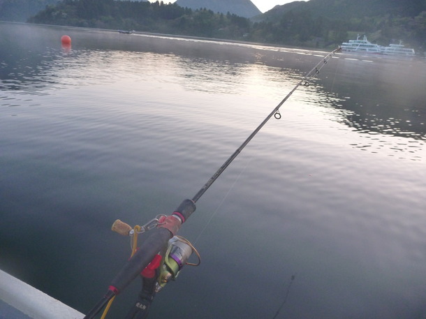 180428 ぶっこみロッド