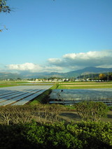0b5443a4.jpg