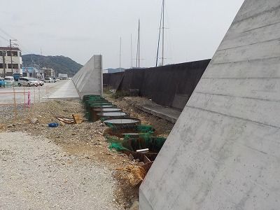 DSCN0788