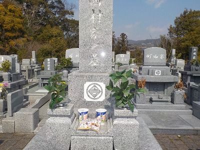 DSCN0699